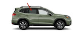 Passenger Right Side Rear Door Window Door Glass Privacy Compatible with Subaru Forester 2019-2024 Models